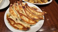 大きすぎたギョウザ