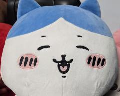 もらっちゃった！🐱