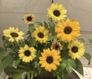 🌻