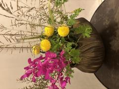 🌼